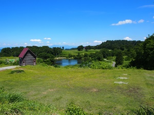 大厳寺高原キャンプ場|テントサイトＤ